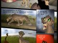 tlk_the_heirs_107_by_savu0211-d2y4lt8.jpg